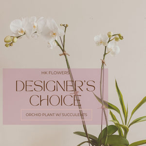 Designers Choice Orchid - HKFlowers